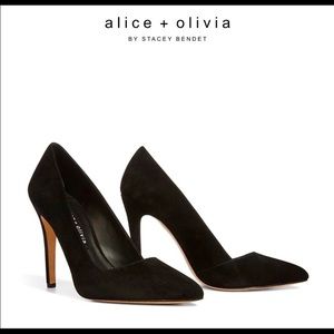 Alice and Olivia hills